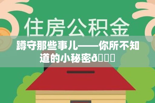 三明蹲守那些事儿——你所不知道的小秘密😎