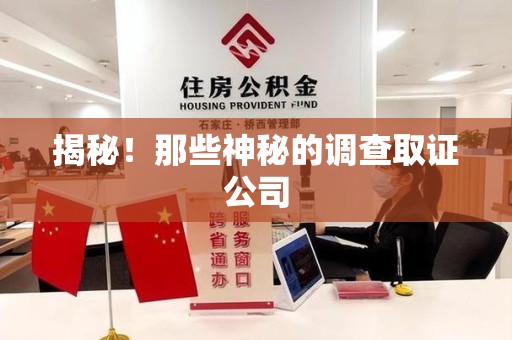 三明揭秘！那些神秘的调查取证公司