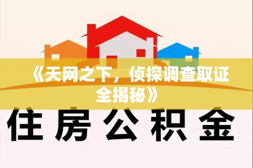 三明《天网之下，侦探调查取证全揭秘》