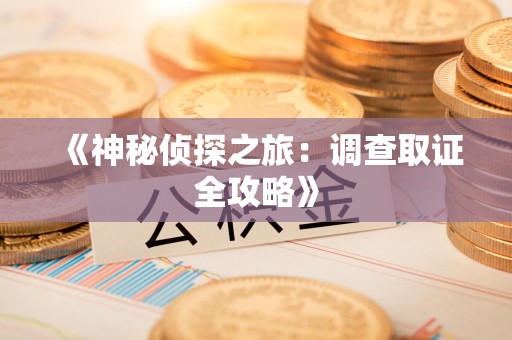 三明《神秘侦探之旅：调查取证全攻略》
