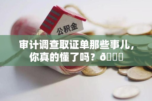三明审计调查取证单那些事儿，你真的懂了吗？😎