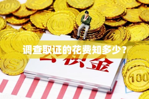 三明调查取证的花费知多少？